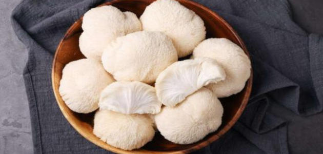 The most important benefits of lion's mane for the entire body أهم فوائد عرف الأسد للجسم كاملاً