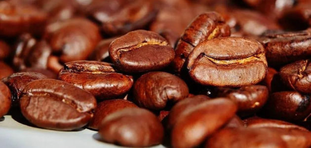 Harmful effects of traditional coffee أضرار القهوة التقليدية