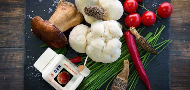 How to prepare healthy meals for children using reishi mushrooms and lion's mane طريقة تحضير وجبات صحية للأطفال باستخدام الفطر الريشي وعرف الأسد