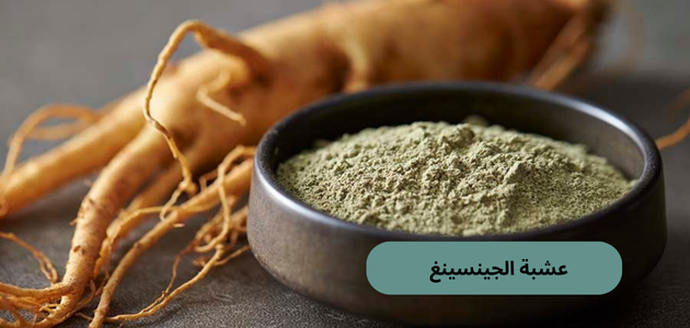 عشبة الجينسينغ