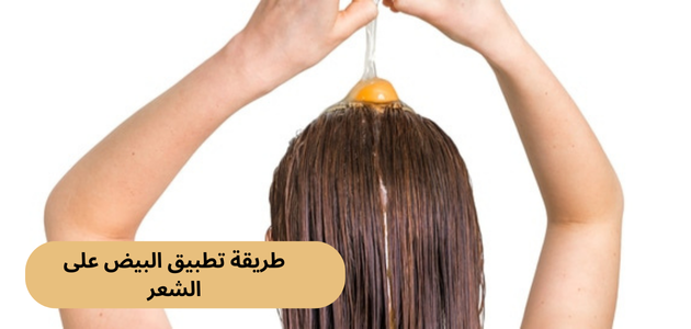 طريقة تطبيق البيض على الشعر