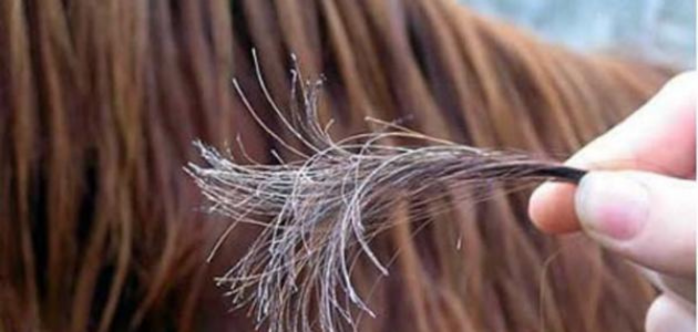 أقنعة طبيعية لترطيب الشعر وعلاج تقصفه