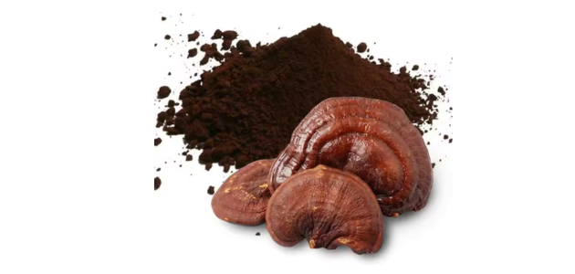 فوائد الفطر الريشي للبشرة