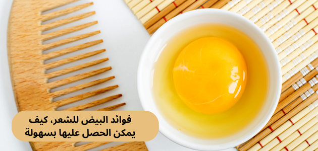 فوائد البيض للشعر، كيف يمكن الحصل عليها بسهولة